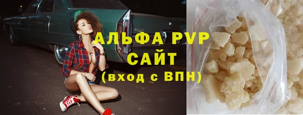 стаф Абинск