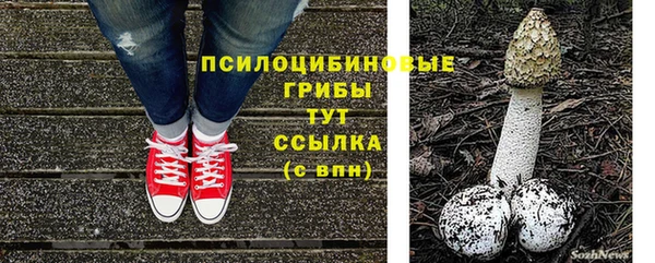 бошки Абаза