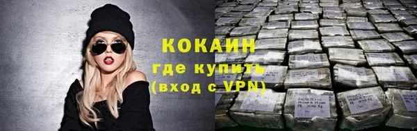 стаф Абинск