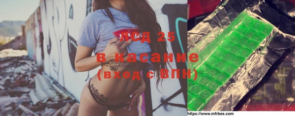 стаф Абинск