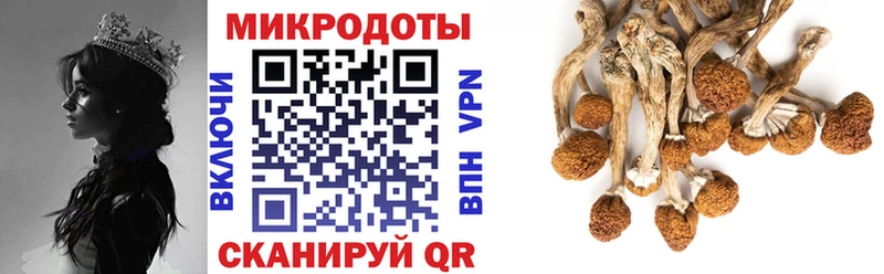 купить наркоту  Канск  Псилоцибиновые грибы Psilocybine cubensis 